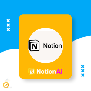 Notion business